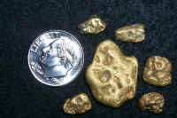 GoldNuggets.jpg (257382 bytes)