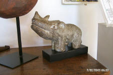 Rhino from Africa