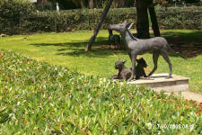 Statue & real dogs - xoloitzcuintles